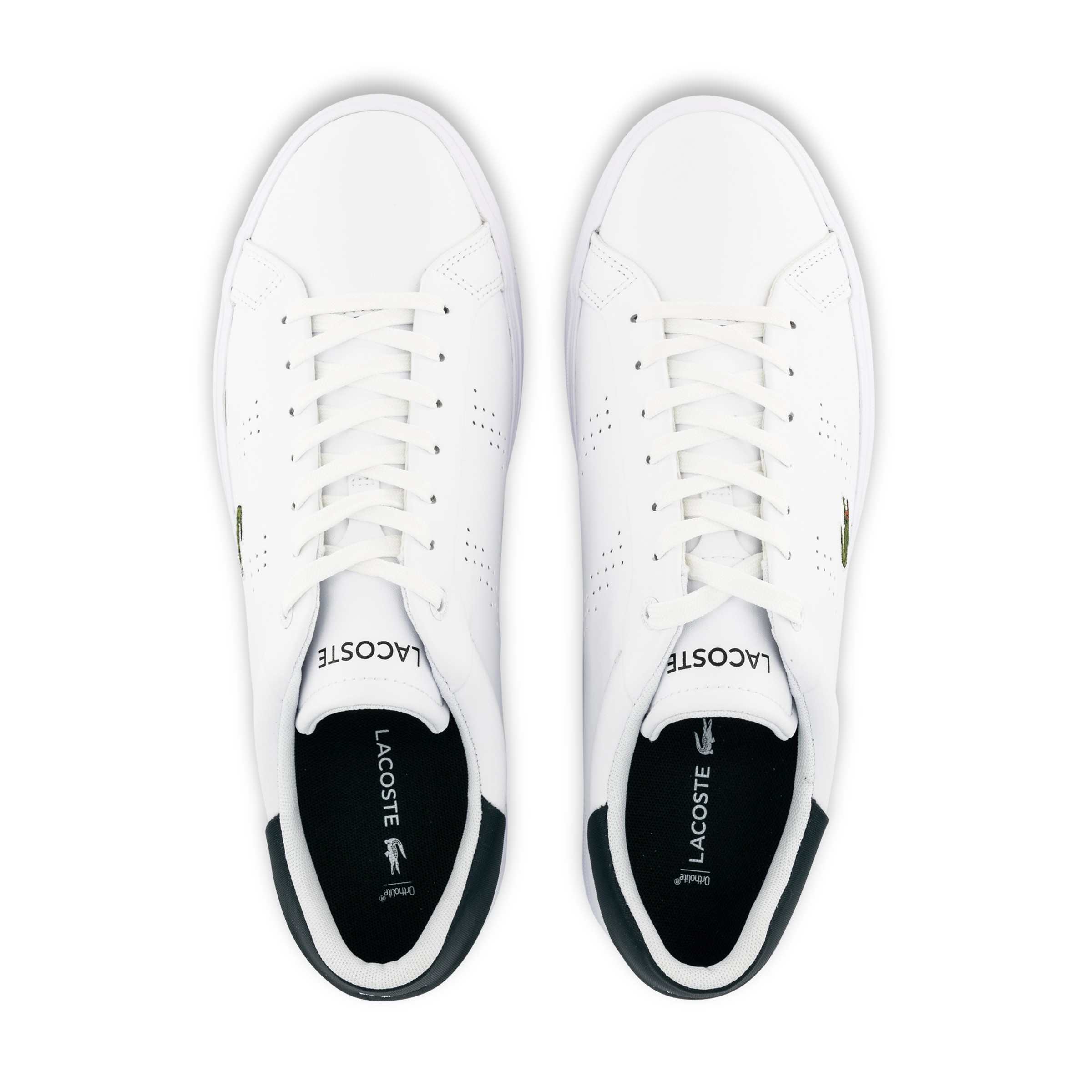 Lacoste hype dc sales