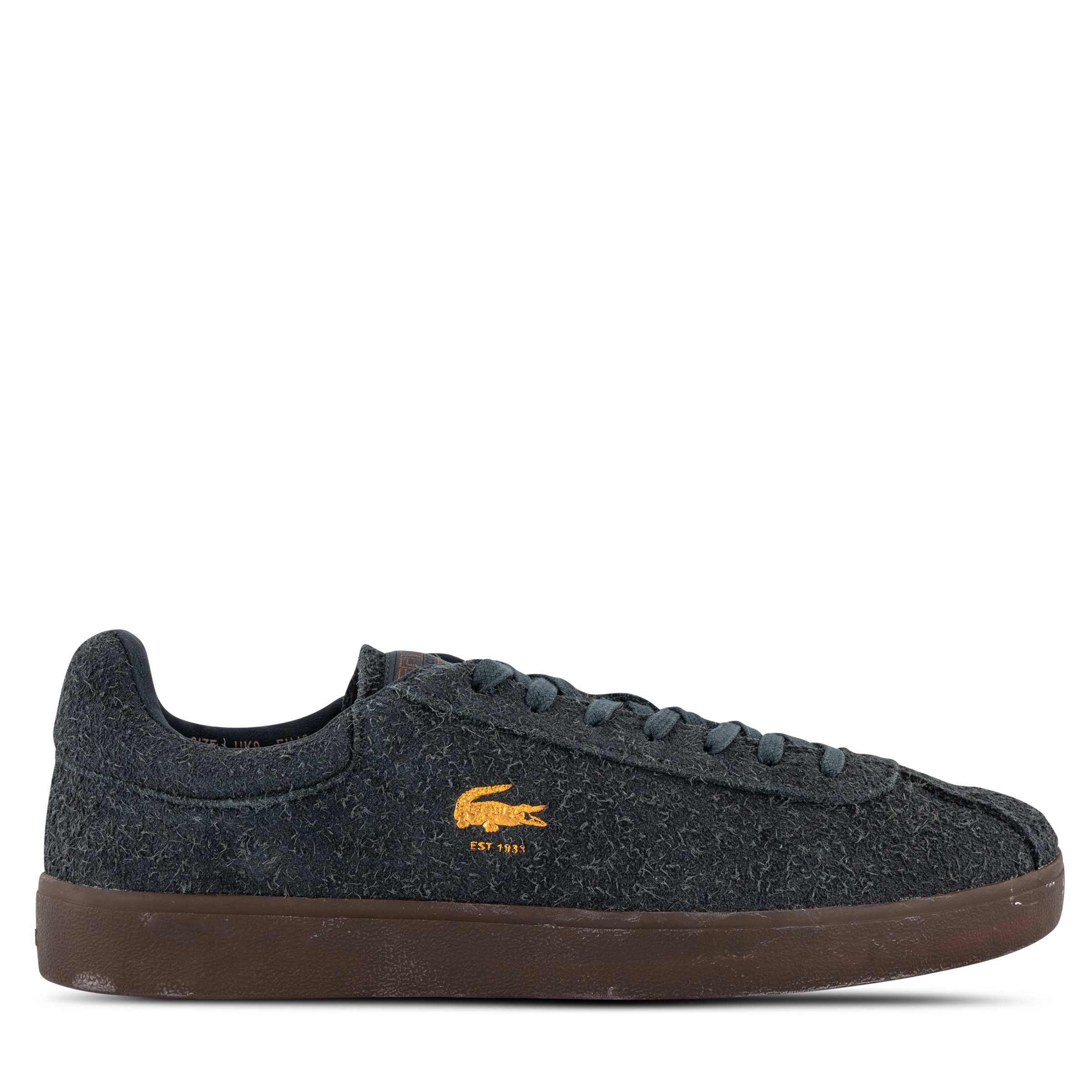 Hype dc lacoste new arrivals