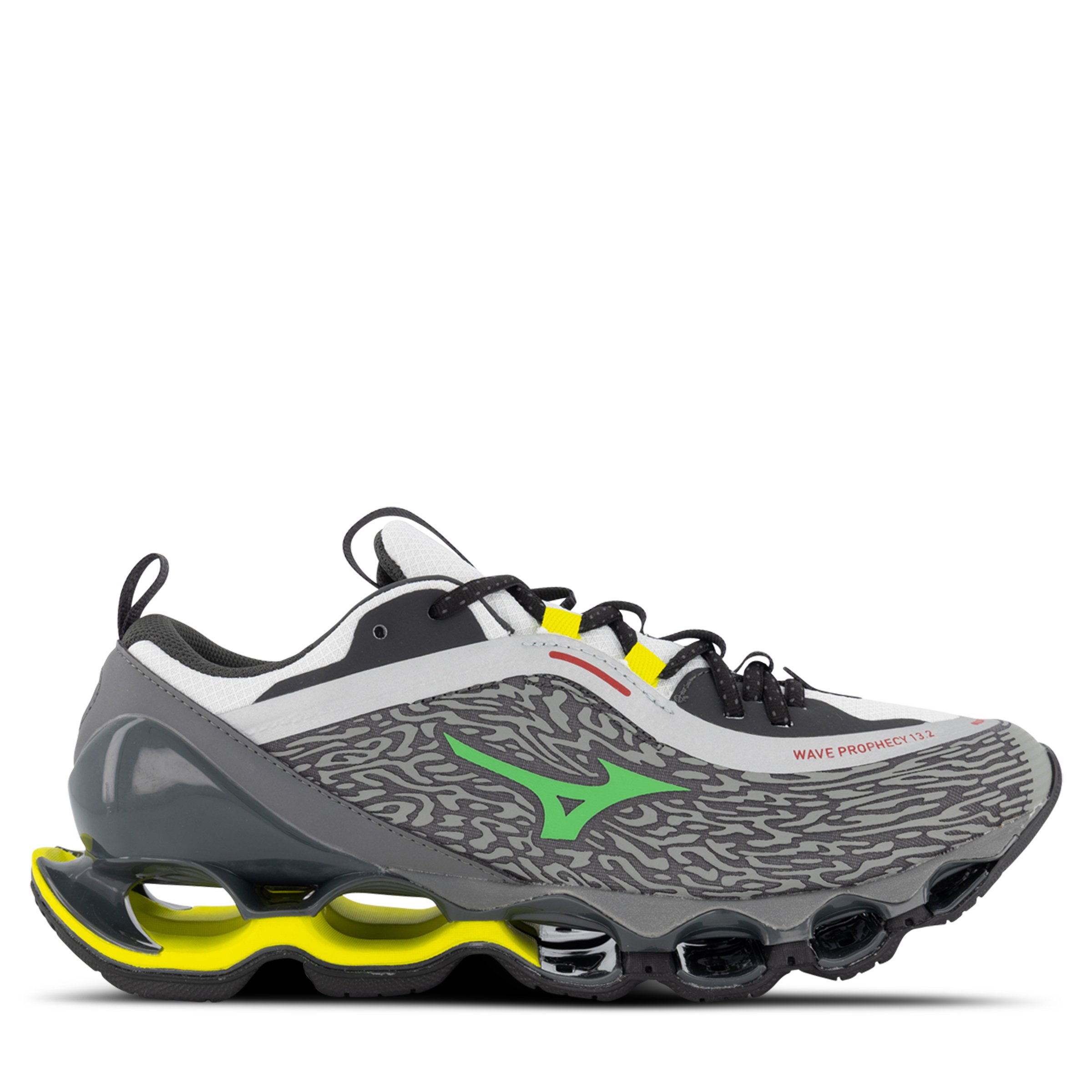 Mizuno Wave Prophecy 13.2