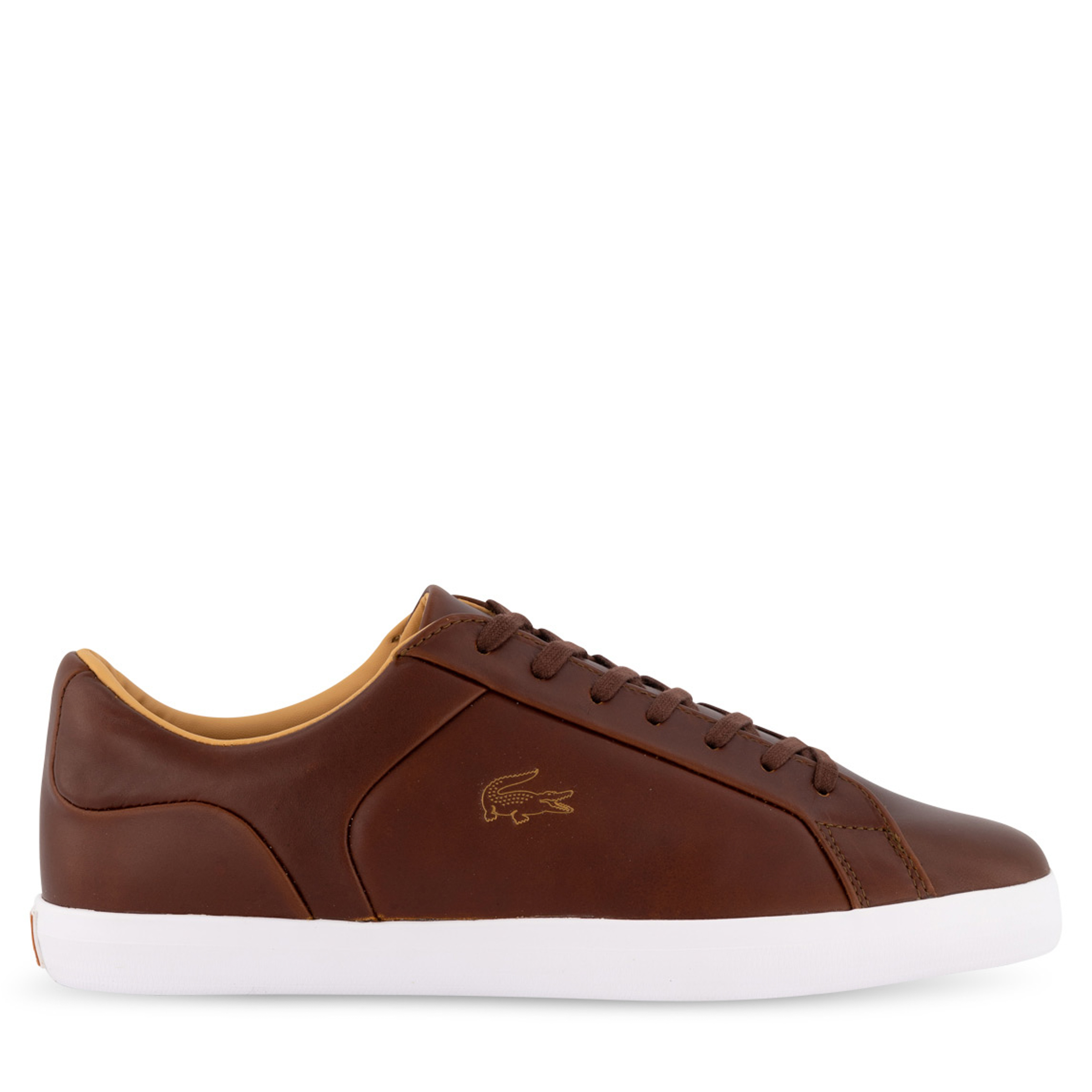 lacoste lerond trainers brown