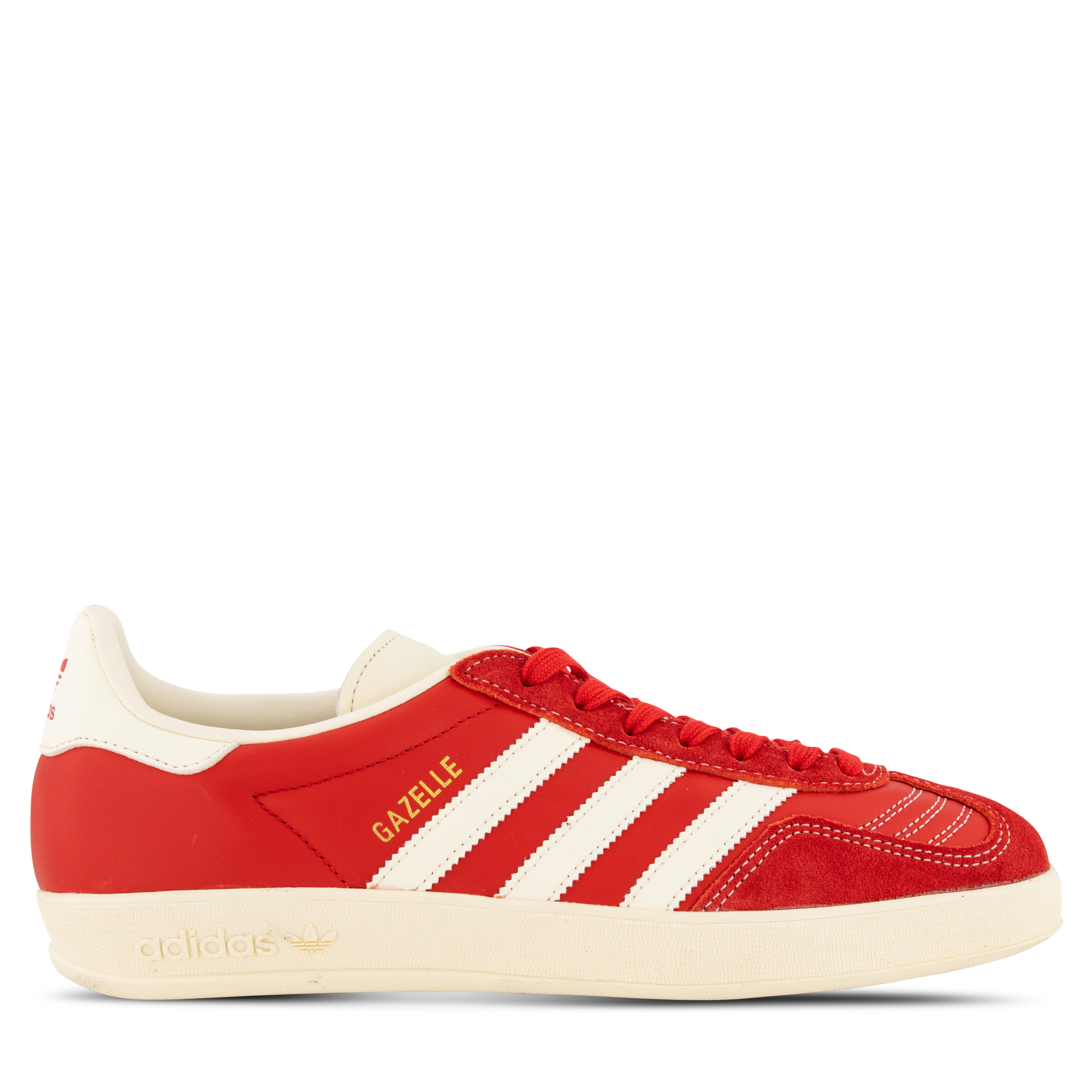 Gazelle Indoor