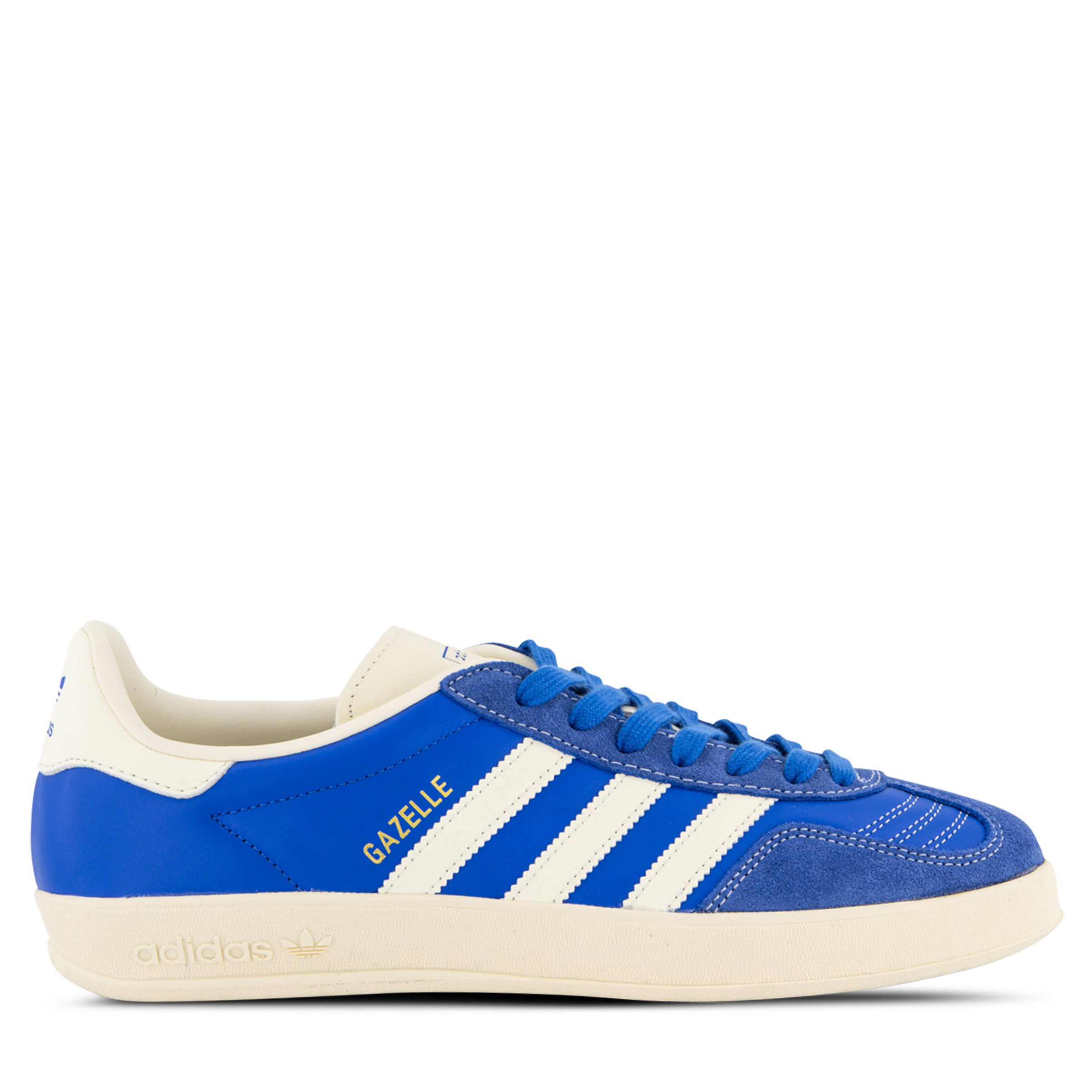 Gazelle Indoor