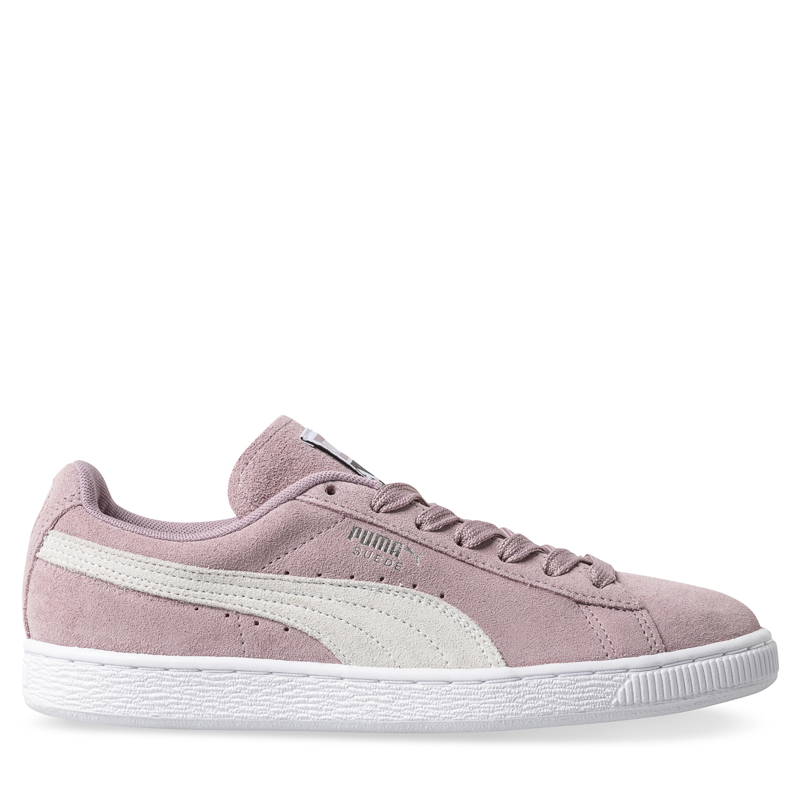 elderberry puma white